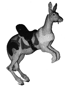 Kangaroo