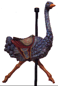 Ostrich