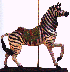 Zebra